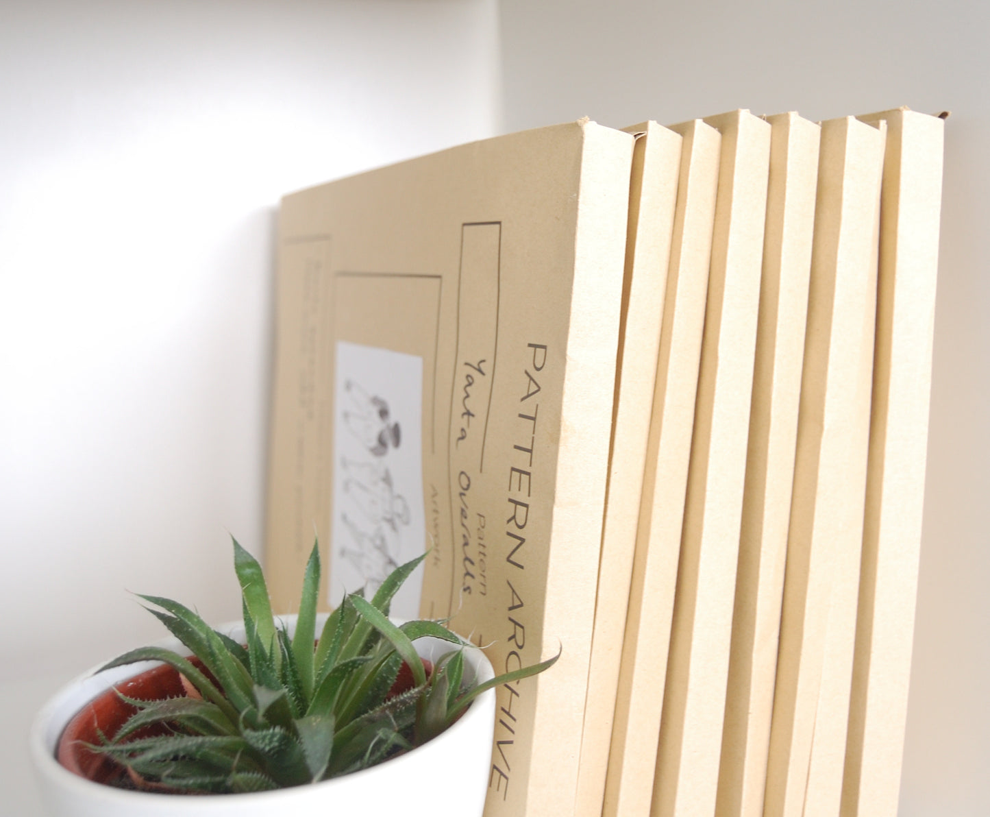 seven patterntrace archive envelopes on a shelf with a cactus plant in a white pot on the left